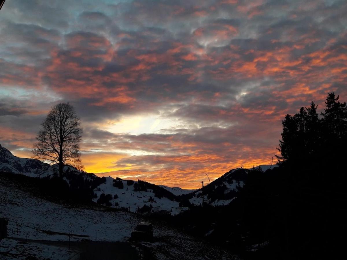 Ferien In Der Bergwelt Von Adelboden Bed and Breakfast Buitenkant foto