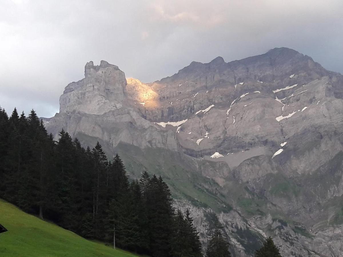 Ferien In Der Bergwelt Von Adelboden Bed and Breakfast Buitenkant foto