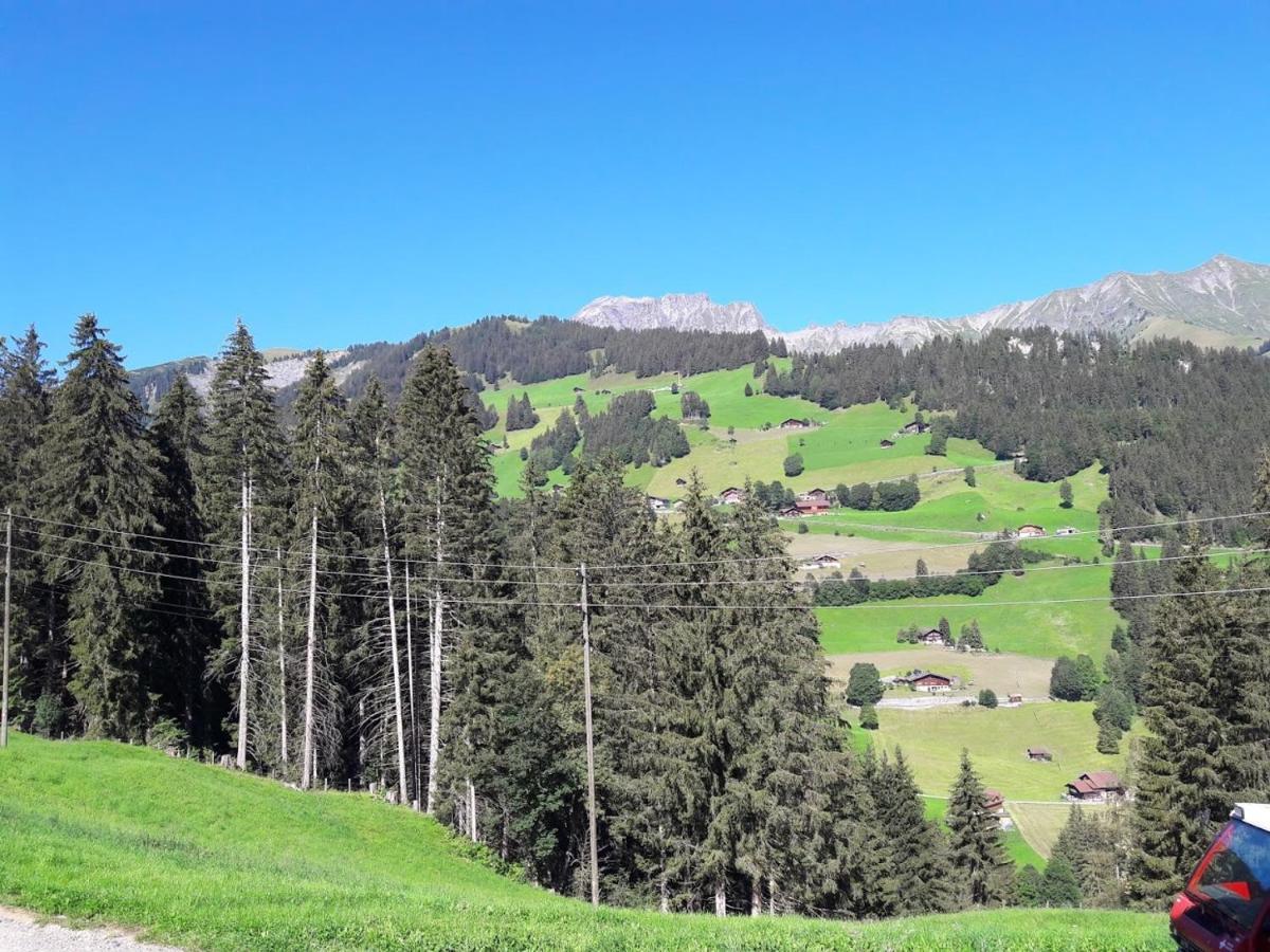 Ferien In Der Bergwelt Von Adelboden Bed and Breakfast Buitenkant foto